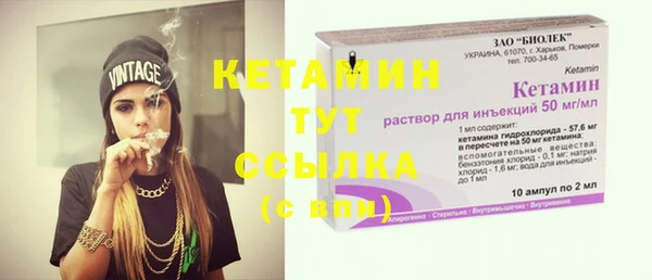 сатива Баксан