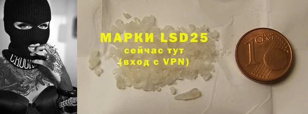 индика Протвино