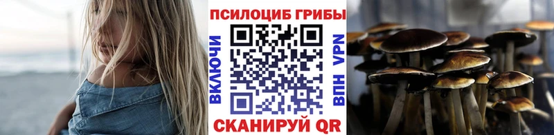 Псилоцибиновые грибы ЛСД  Вышний Волочёк 